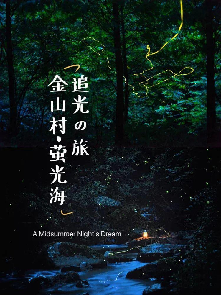 这双是什么鞋子 有网址吗？是阿迪达斯吗？游戏画面