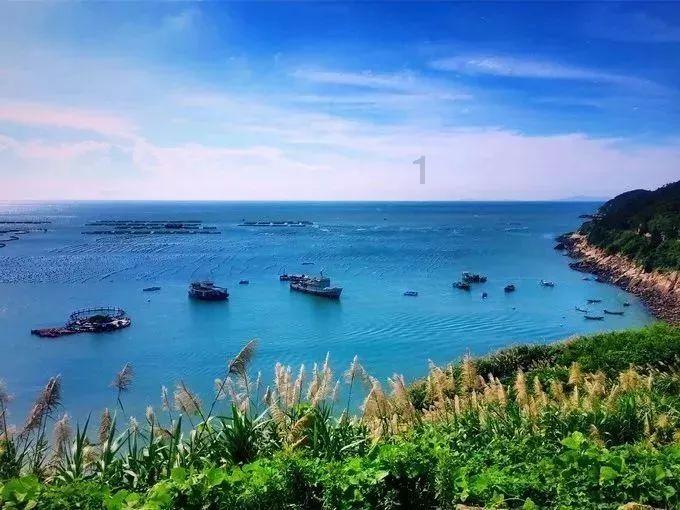 海南省政协八届二次会议胜利闭幕 冯飞刘小明沈丹阳出席 李荣灿讲话